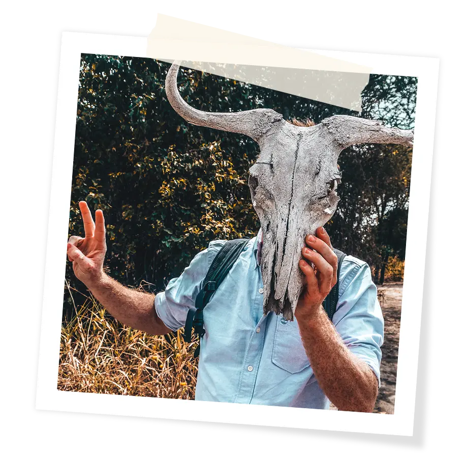 Profile photo oeeve.xyz